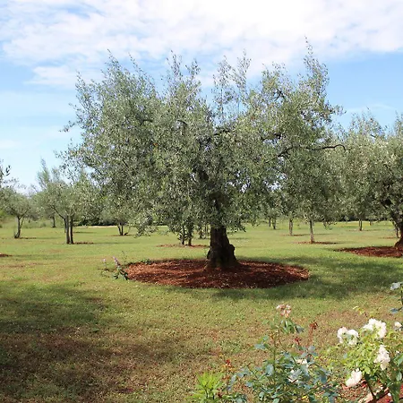 Hundefreundliches Nur 250 Meter Zum Mit Mediterranem Garten Apartment Porec