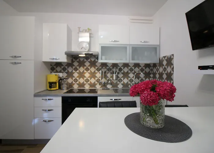 Hundefreundliches Nur 250 Meter Zum Mit Mediterranem Garten * Poreč