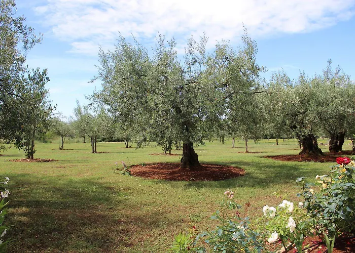 Hundefreundliches Nur 250 Meter Zum Mit Mediterranem Garten Apartment Poreč